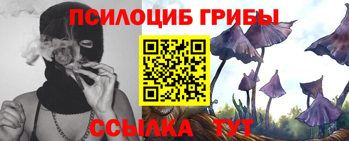 Тайшет  Псилоцибиновые грибы MAGIC MUSHROOMS  Вход с VPN  Псилоцибиновые грибы GOLDEN TEACHER 